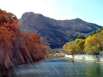 新澳天天开奖资料大全旅游团，福特锐界油耗